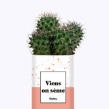 Viens on sème - Cactus