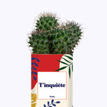 T'inquiète - Cactus
