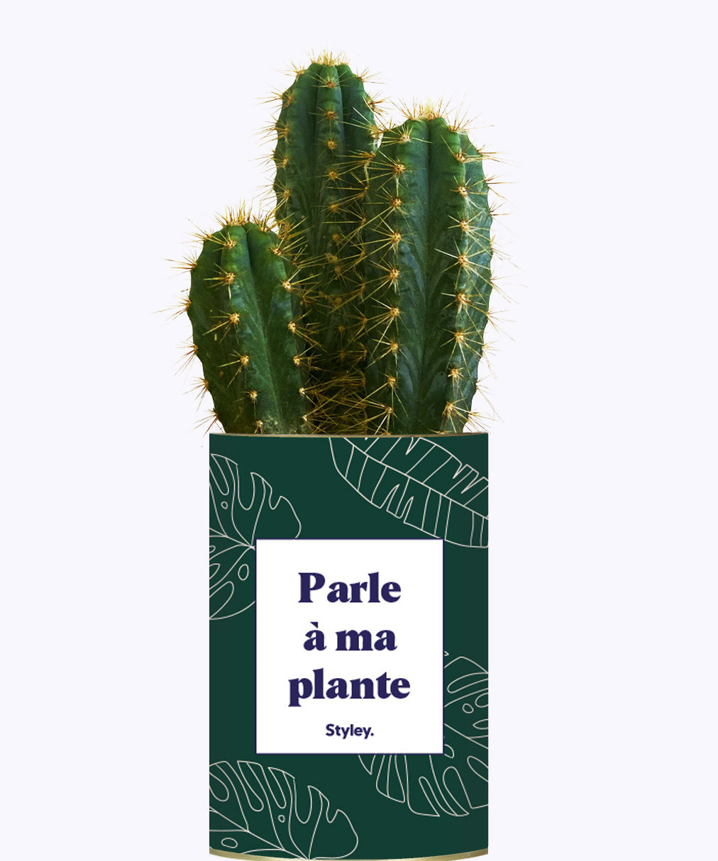Parle à ma plante - Cactus