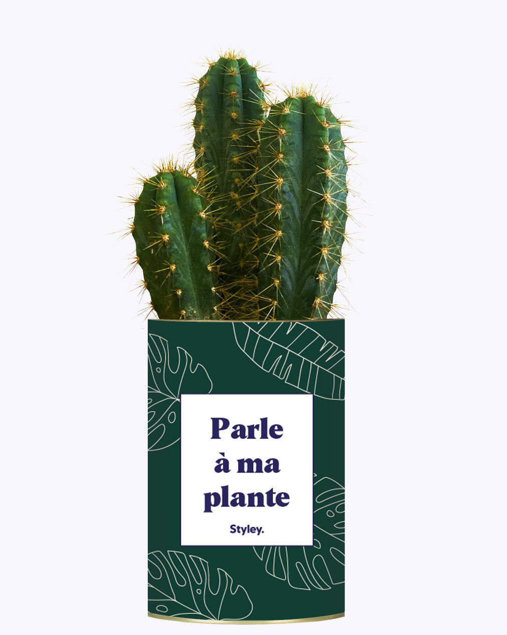Parle à ma plante - Cactus