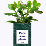 Parle à ma plante - Cactus