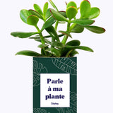 Parle à ma plante - Cactus
