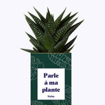 Parle à ma plante - Cactus