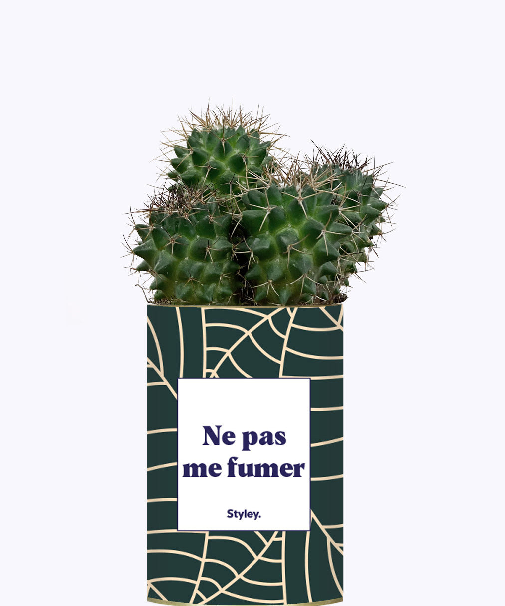 Ne pas me fumer - Cactus