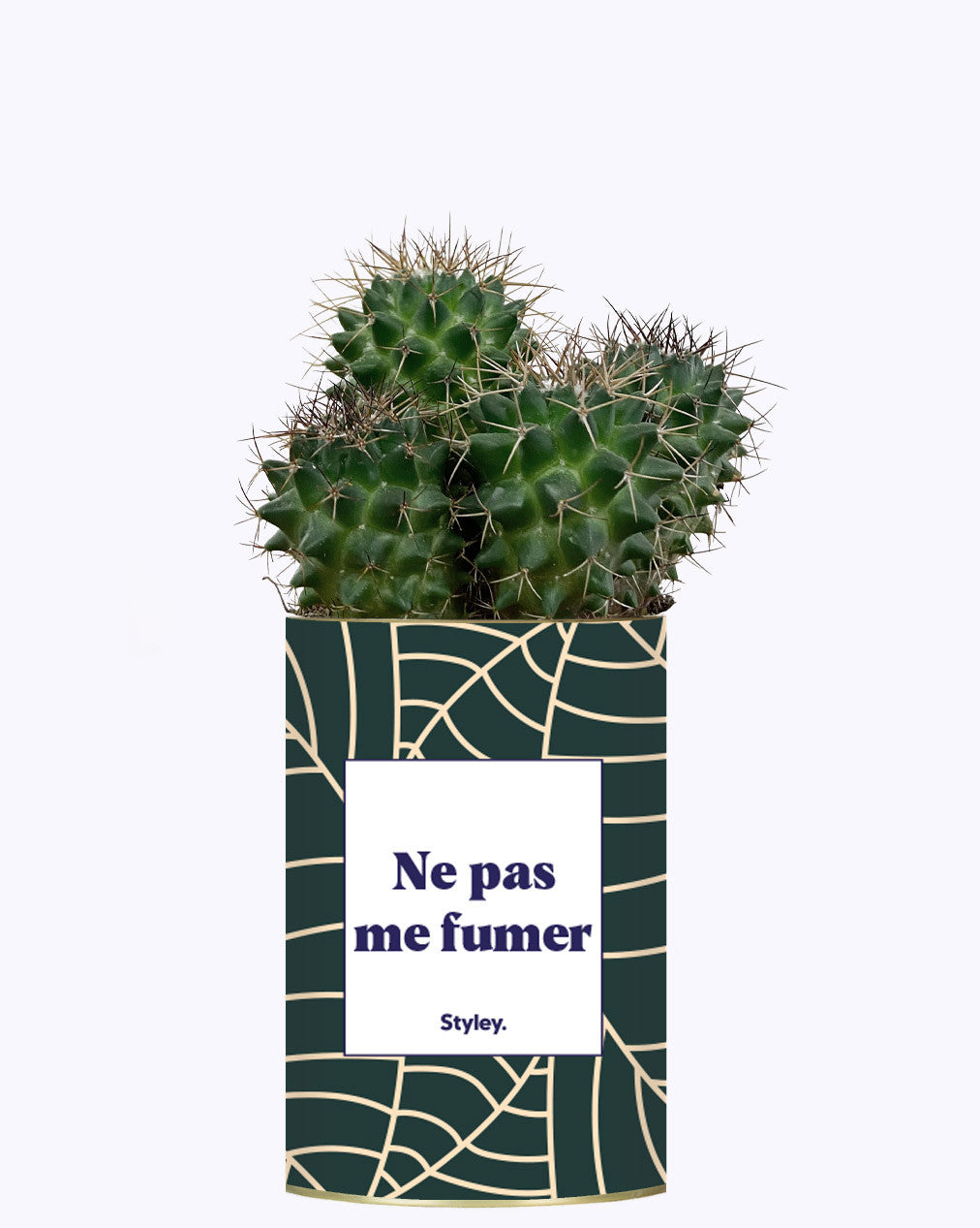 Ne pas me fumer - Cactus