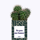 Ne pas me fumer - Cactus