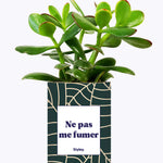 Ne pas me fumer - Cactus