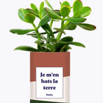 Je m'en bats la terre - Cactus