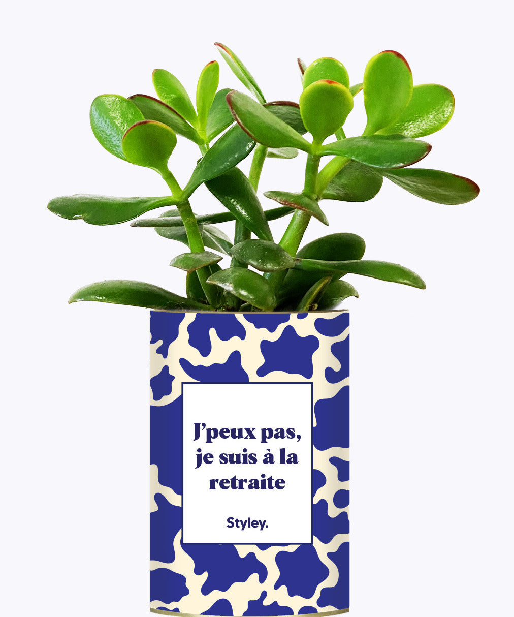 J'peux pas, je suis à la retraite - Cactus