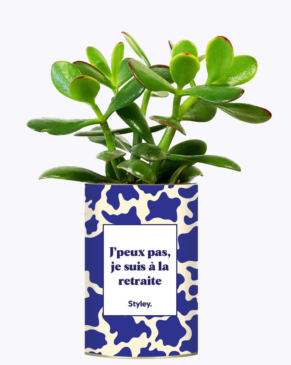 J'peux pas, je suis à la retraite - Cactus