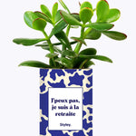 J'peux pas, je suis à la retraite - Cactus