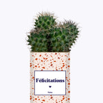 Félicitations - Cactus