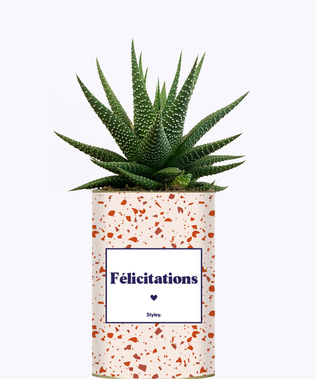 Félicitations - Cactus