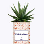 Félicitations - Cactus