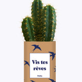 Vis tes rêves - Cactus