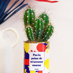 Pas la peine de m'arroser morue - Cactus