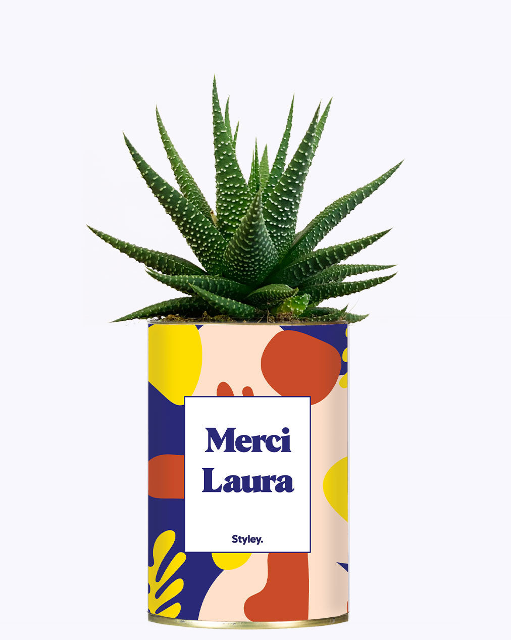 Cactus Josiane - Personnalisable