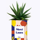 Cactus Josiane - Personnalisable
