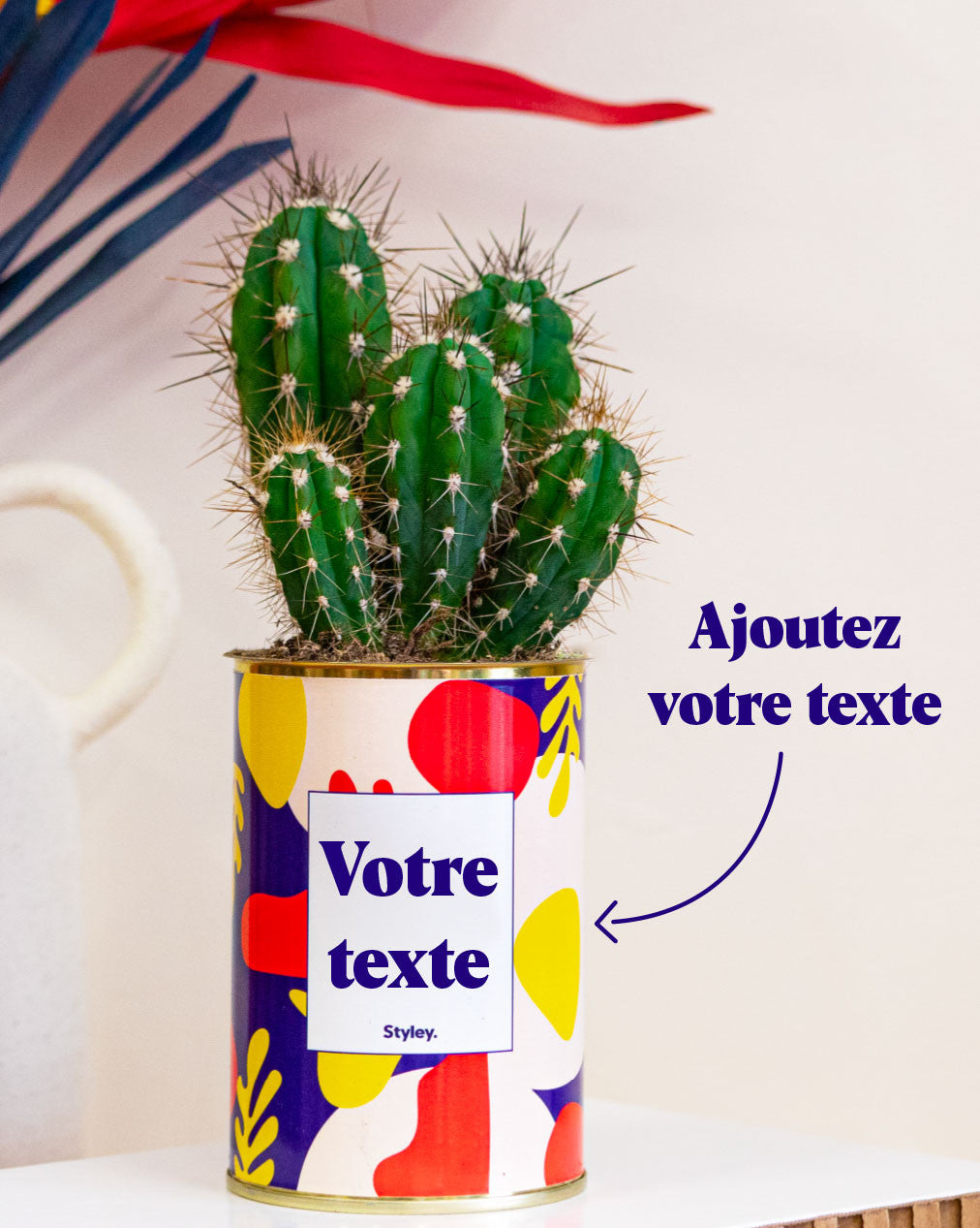 Cactus Josiane - Personnalisable