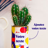 Cactus Josiane - Personnalisable