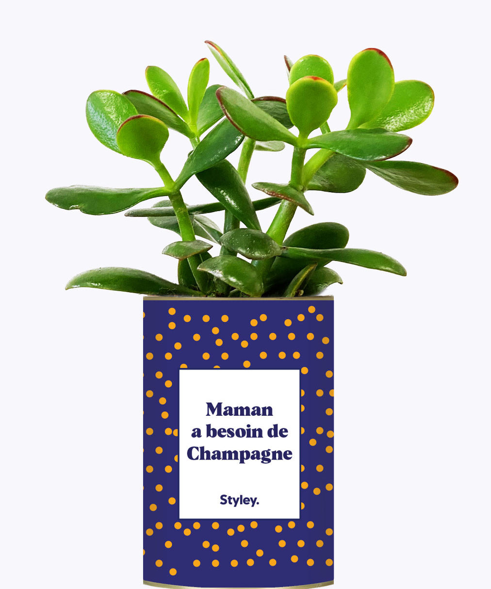 Maman a besoin de champagne - Cactus