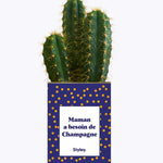 Maman a besoin de champagne - Cactus