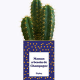 Maman a besoin de champagne - Cactus