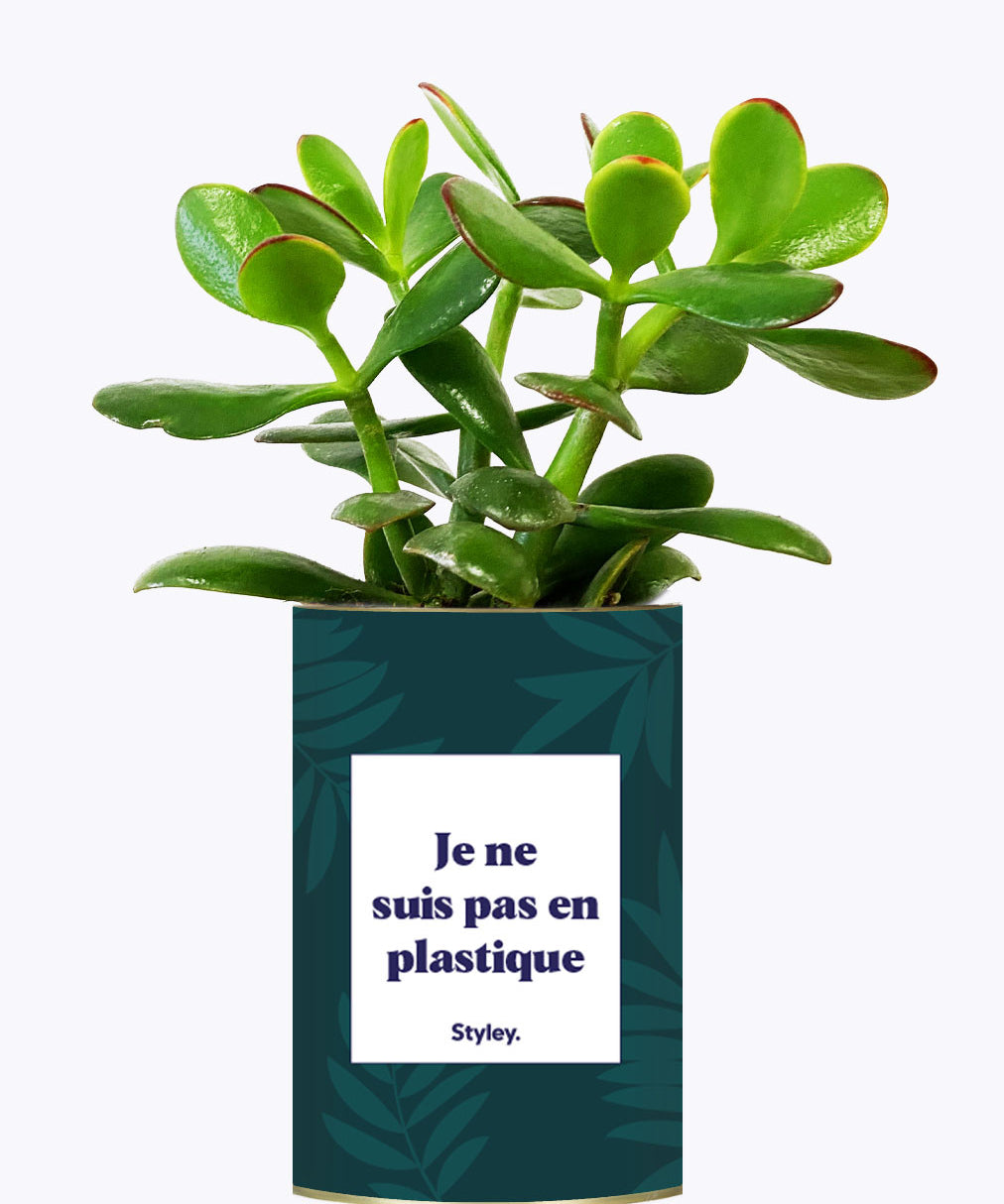 Je ne suis pas en plastique - Cactus