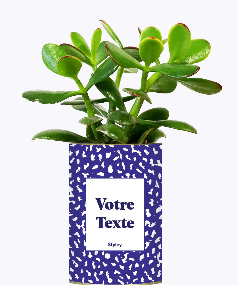 Cactus moucheté - Personnalisable