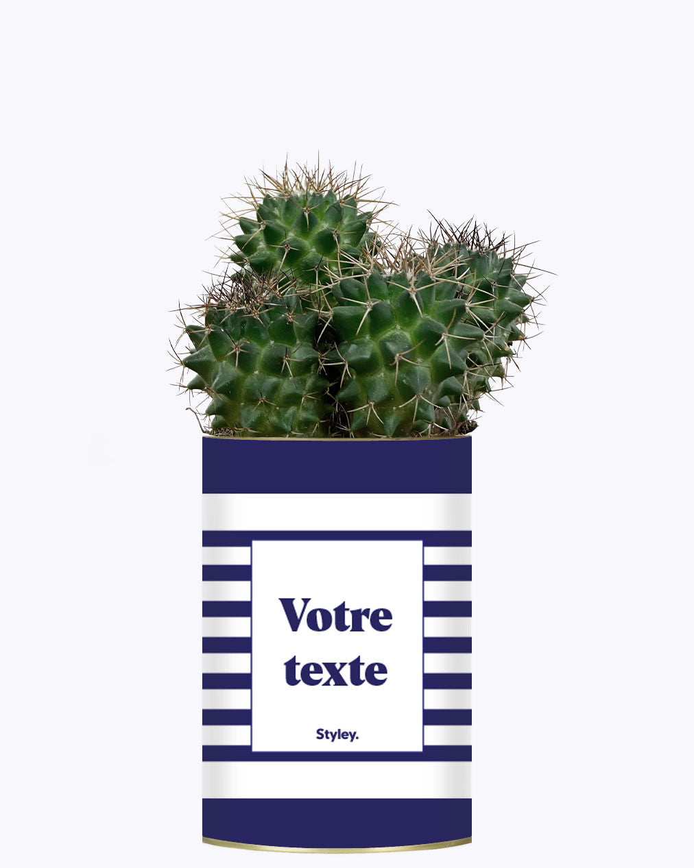 Cactus Marin - Personnalisable