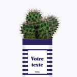 Cactus Marin - Personnalisable