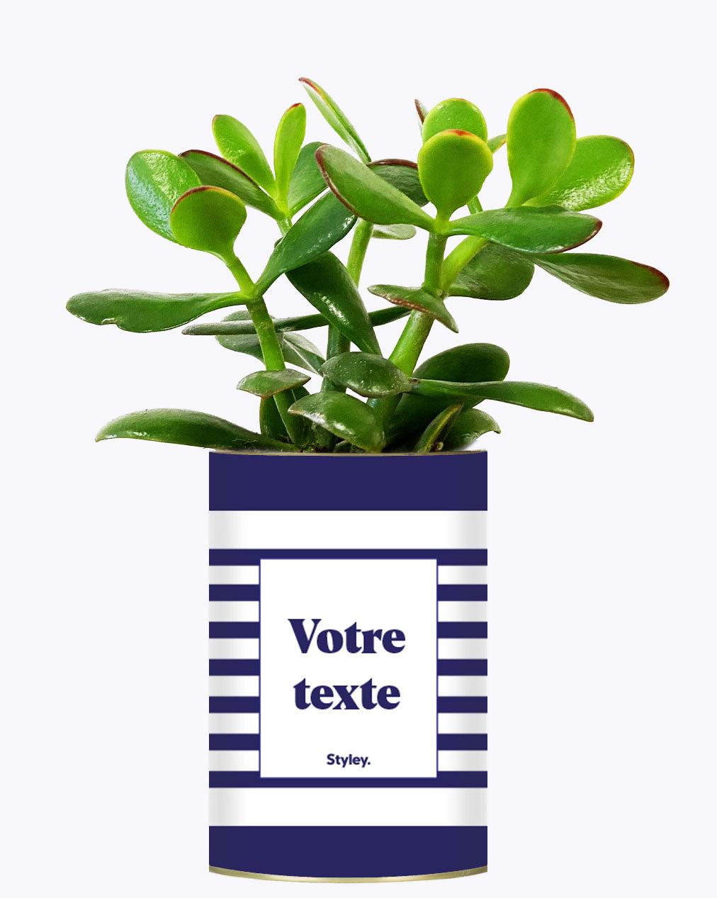 Cactus Marin - Personnalisable