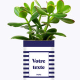 Cactus Marin - Personnalisable