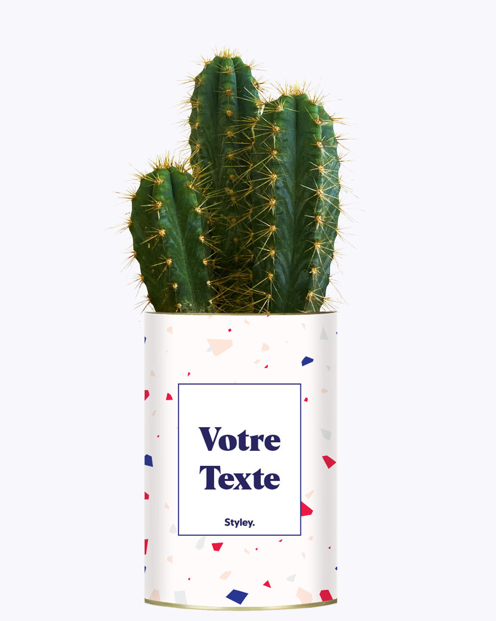Cactus Terrazzo - Personnalisable