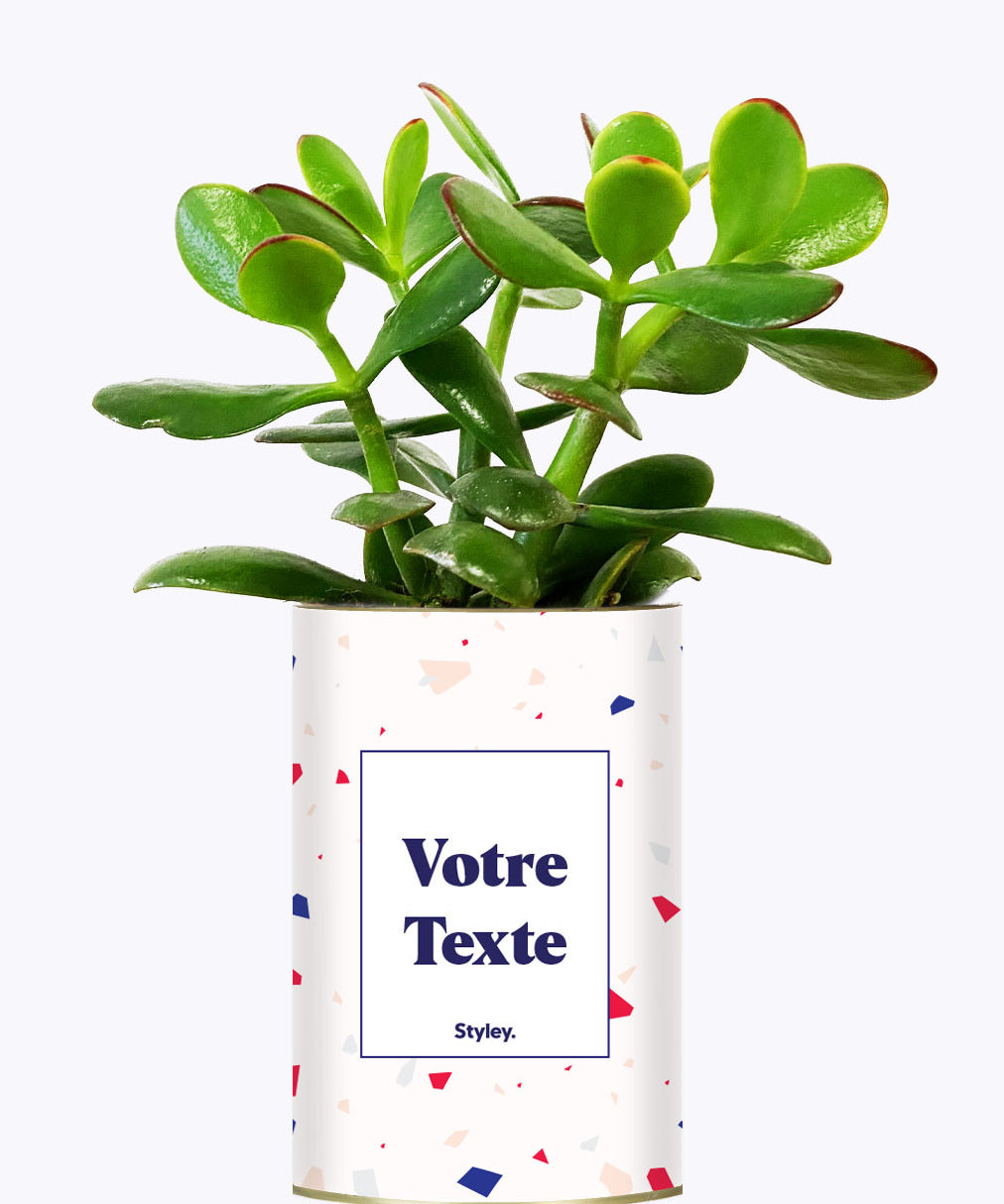 Cactus Terrazzo - Personnalisable