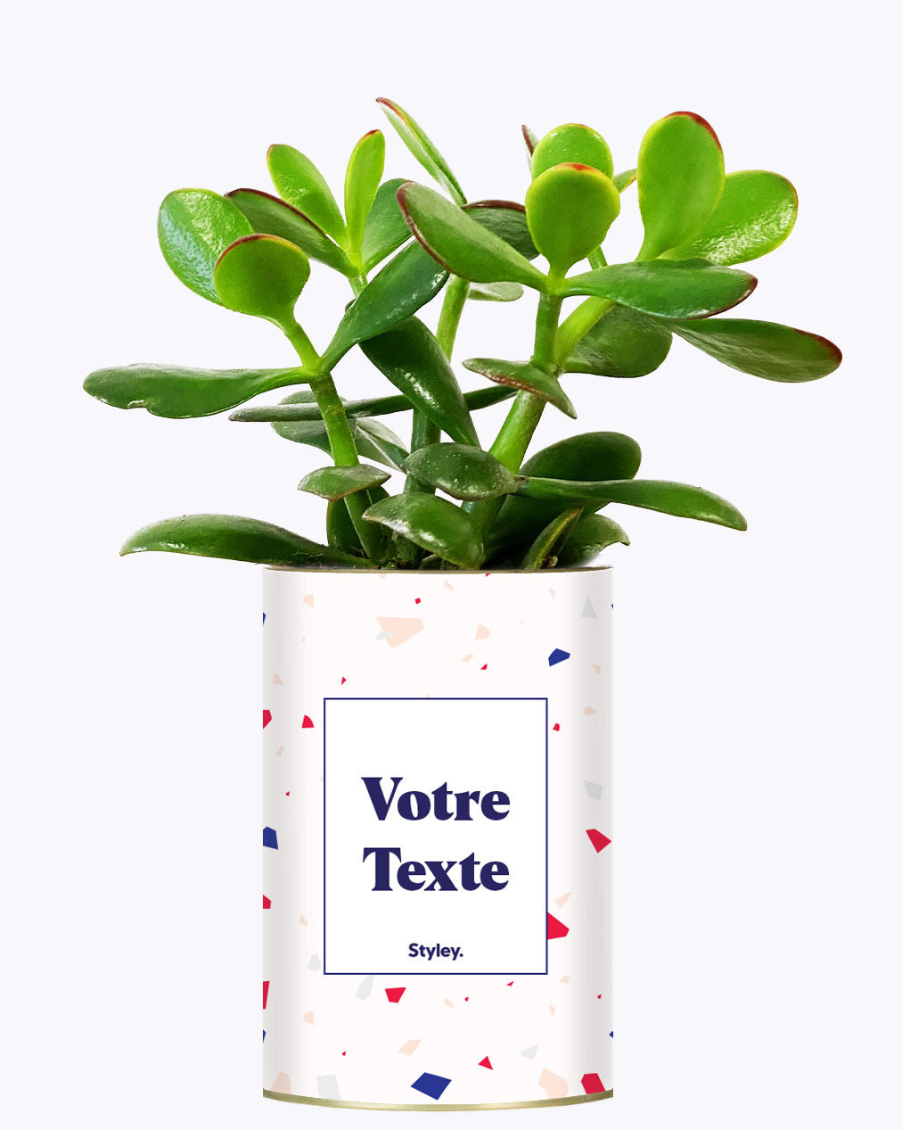 Cactus Terrazzo - Personnalisable