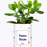 Cactus Terrazzo - Personnalisable