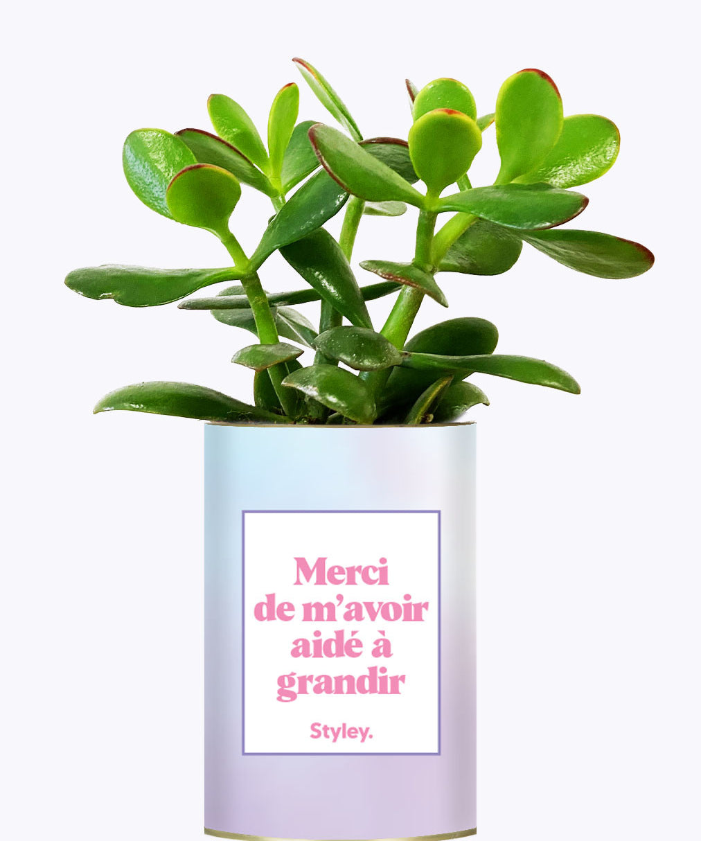 Merci de m'avoir aidé à grandir - Cactus