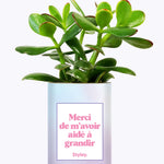 Merci de m'avoir aidé à grandir - Cactus
