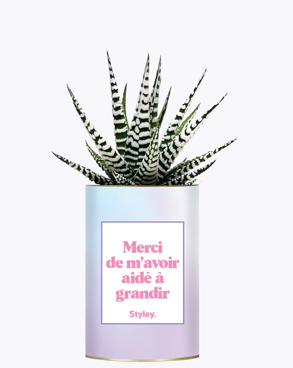 Merci de m'avoir aidé à grandir - Cactus