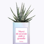 Merci de m'avoir aidé à grandir - Cactus