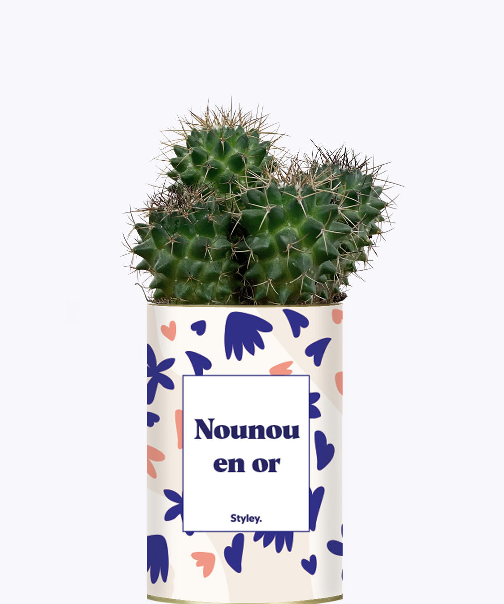 Nounou en or - Cactus