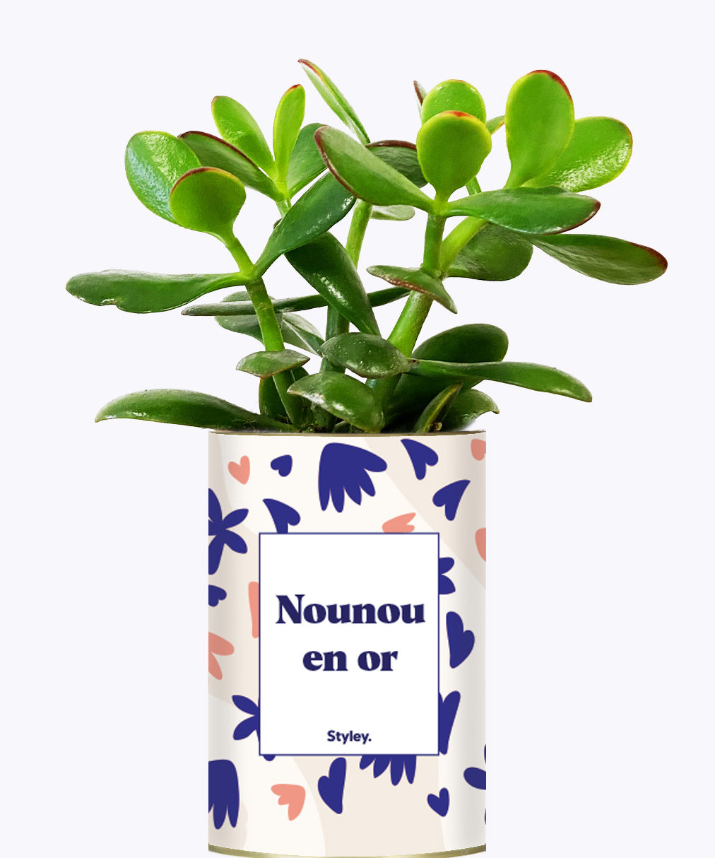 Nounou en or - Cactus