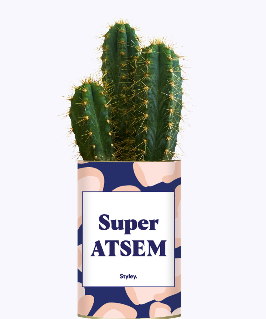 Super ATSEM - Cactus