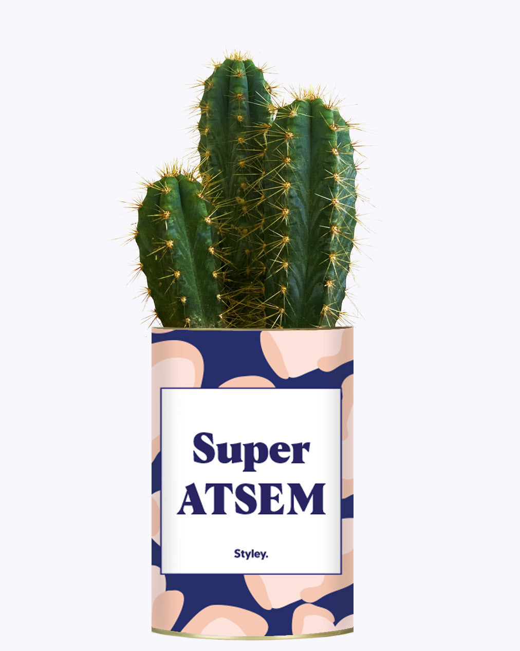 Super ATSEM - Cactus