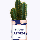 Super ATSEM - Cactus