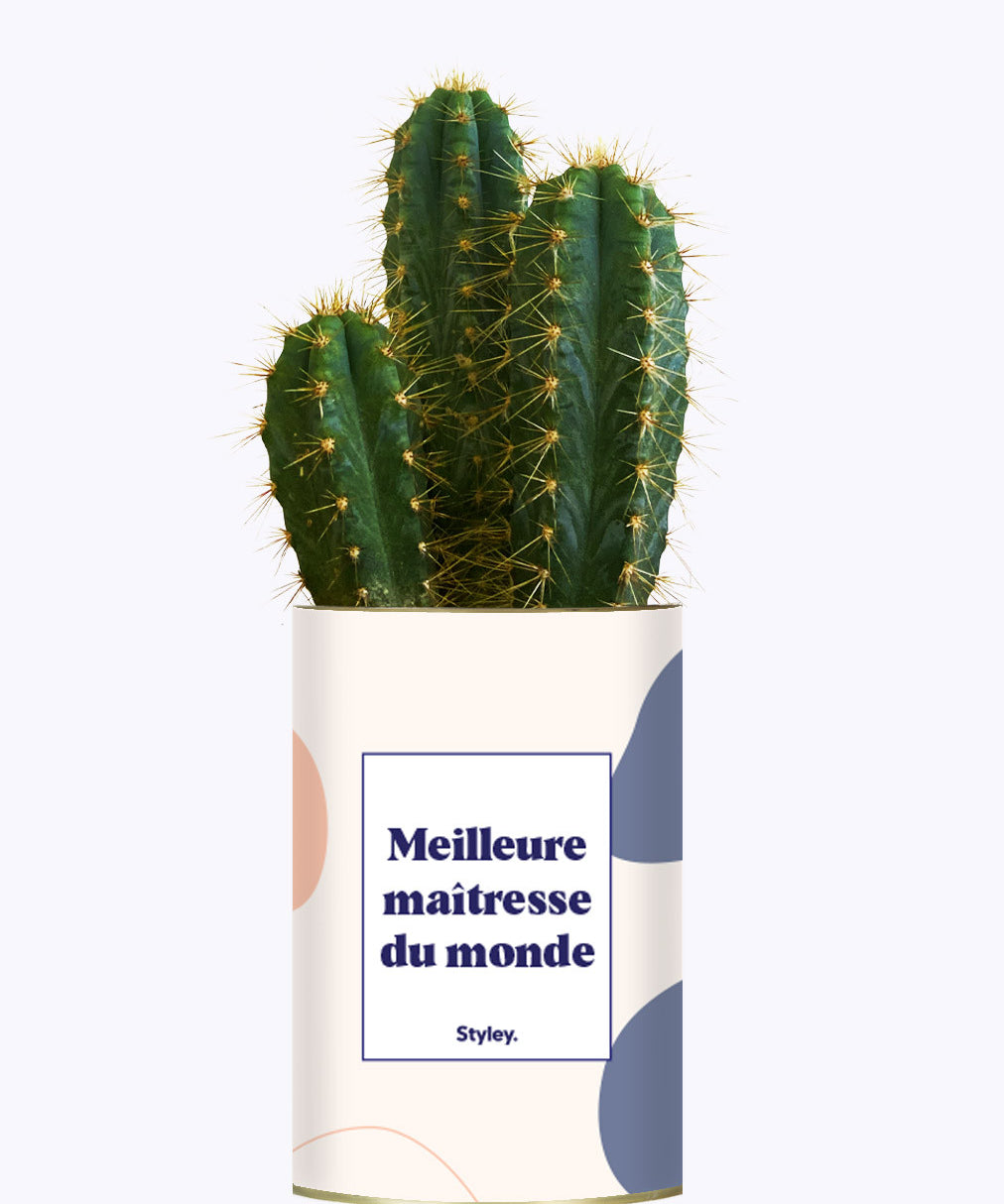 Meilleure maîtresse du monde - Cactus
