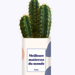 Meilleure maîtresse du monde - Cactus