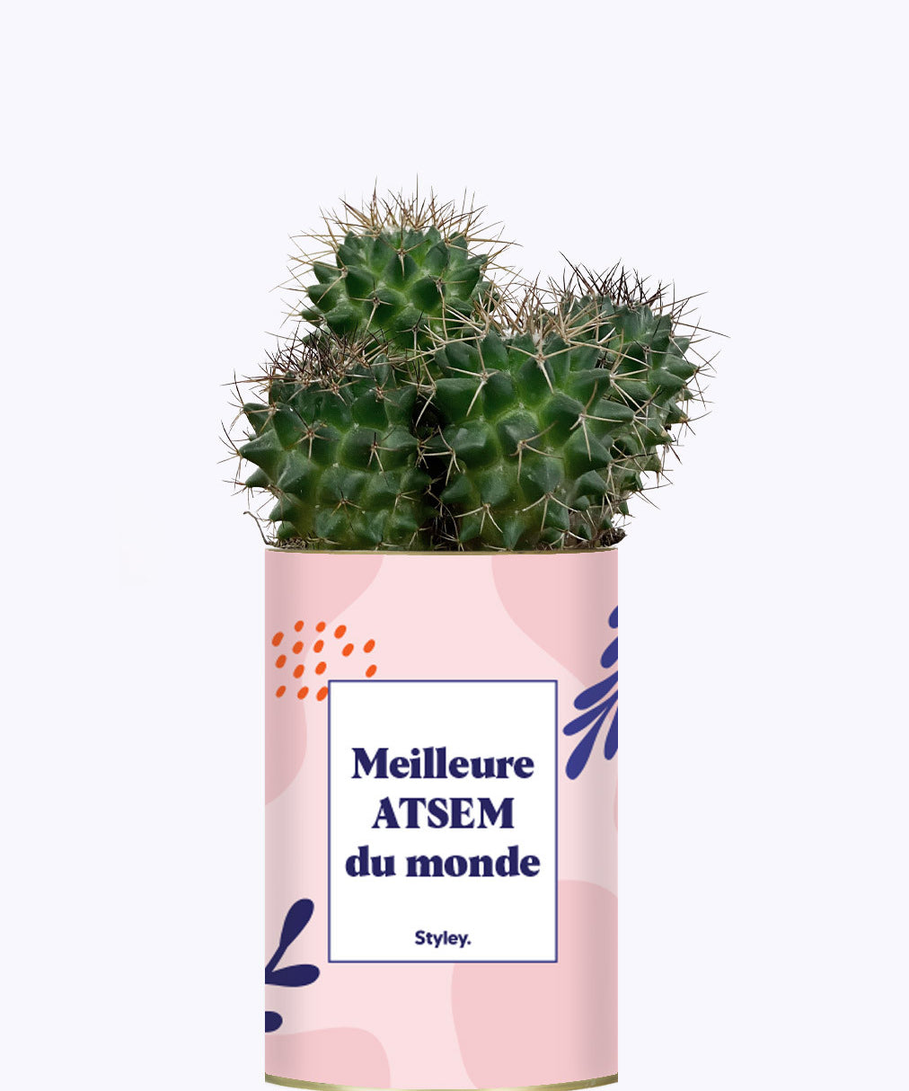 Meilleure ATSEM du monde - Cactus