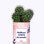 Meilleure ATSEM du monde - Cactus